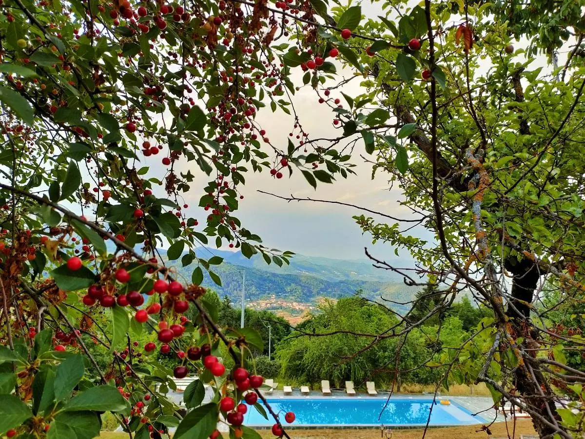 Agriturismo Borgo Biaia Camporgiano