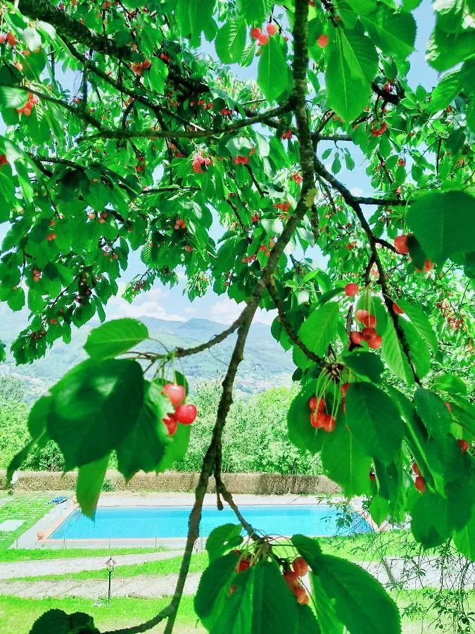 Agriturismo Borgo Biaia Camporgiano Farm stay